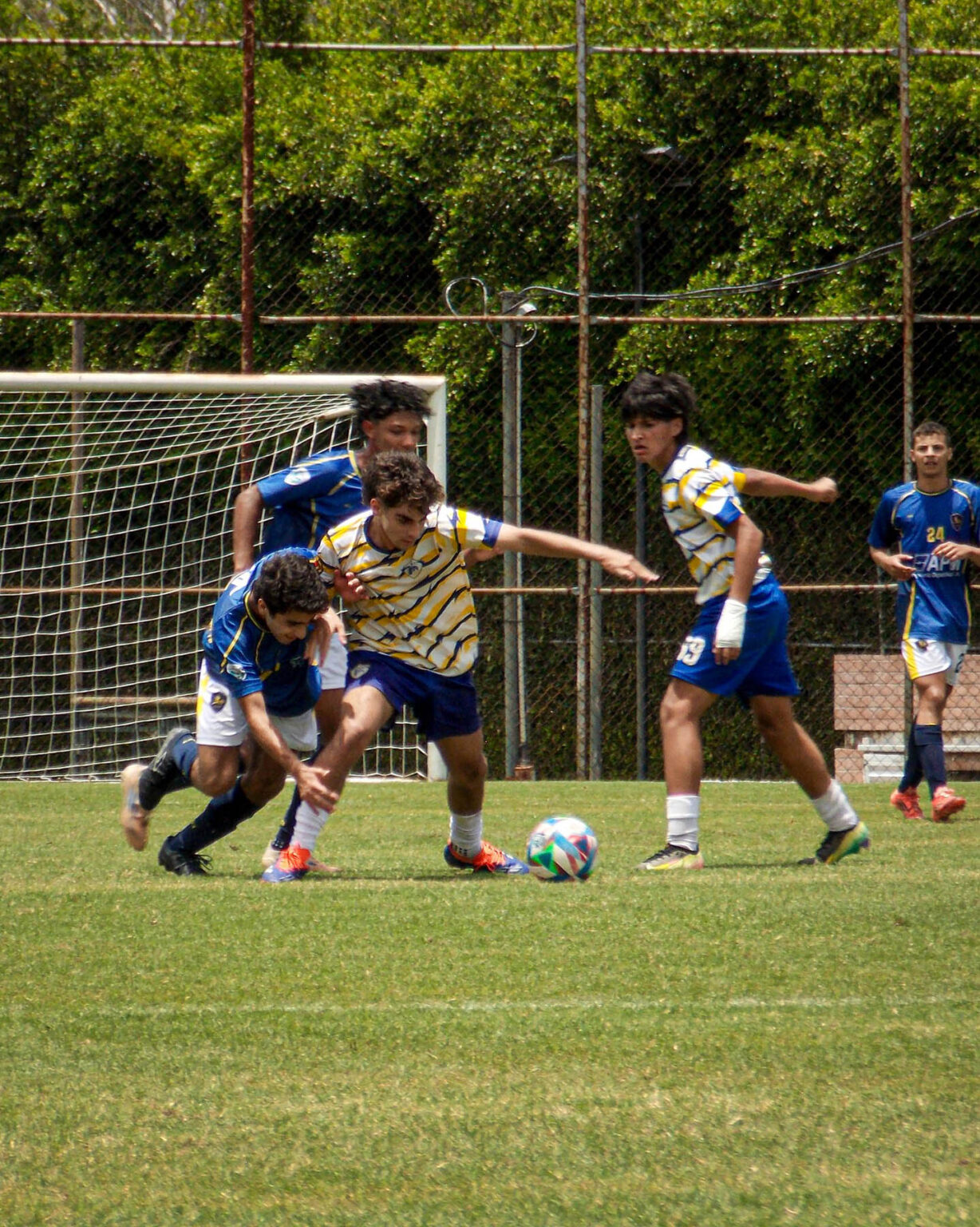Llega la acción de la fecha 3 en la Liga Elite Juvenil LATINBIEN